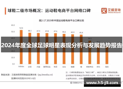 2024年度全球足球明星表现分析与发展趋势报告