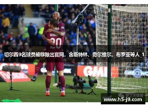 切尔西9名球员被移除出官网，含斯特林、奇尔维尔、布罗亚等人_1